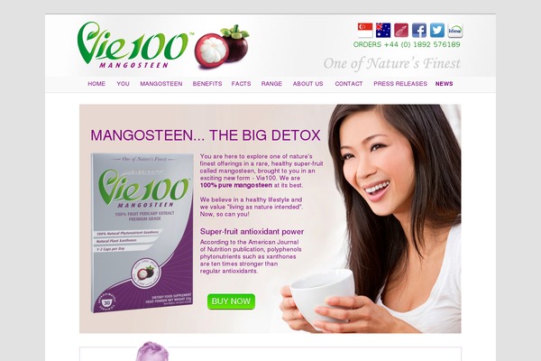 vie100.co.uk site used Vietwo