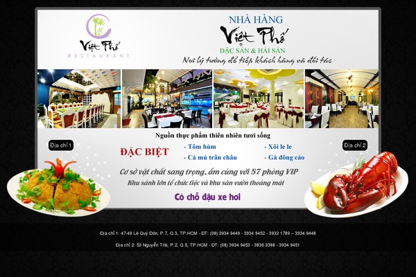 vietpho.com.vn site used Vietxua-themes