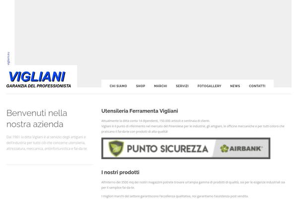 vigliani.eu site used Thine-child