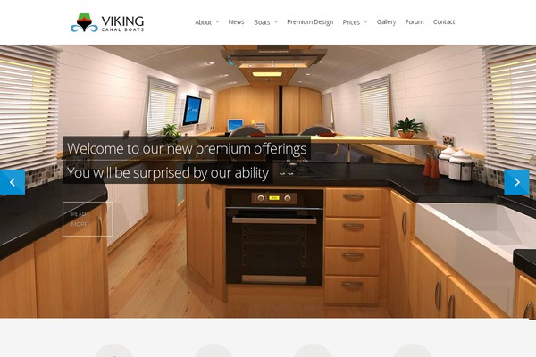 Viking theme site design template sample