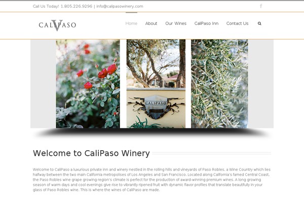 Avada theme site design template sample