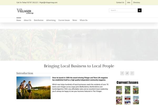 WordPress website example screenshot