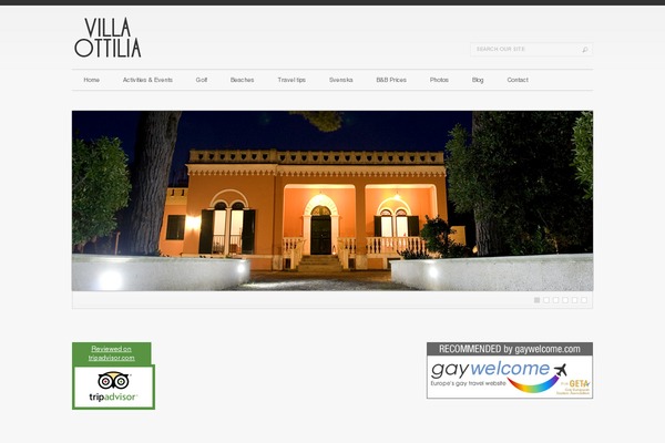 Luxury theme site design template sample