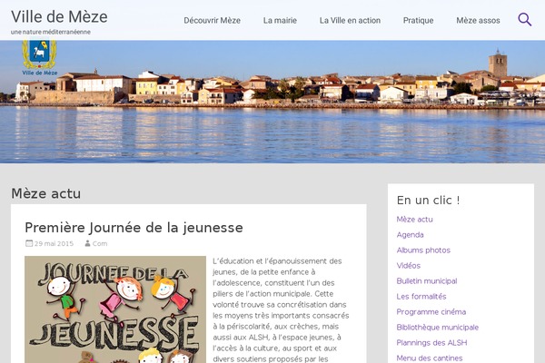 ville_meze theme websites examples