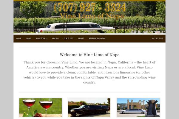 vinelimonapa.com site used Vine