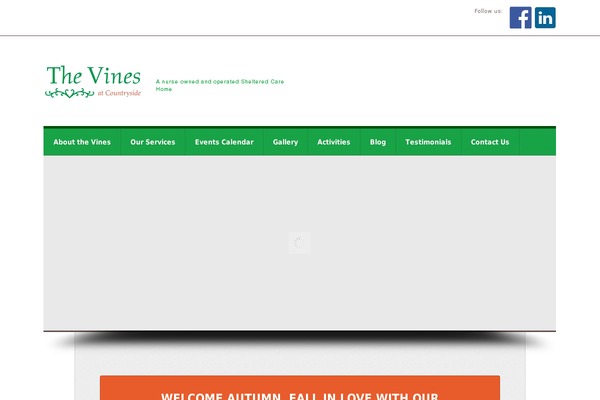 Incare theme site design template sample