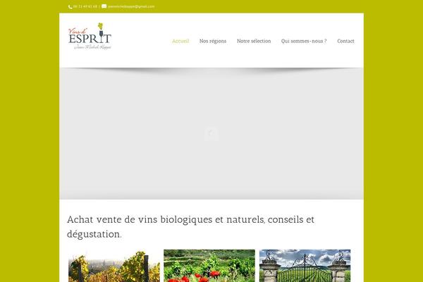 vins-esprit.com site used Vins-esprit