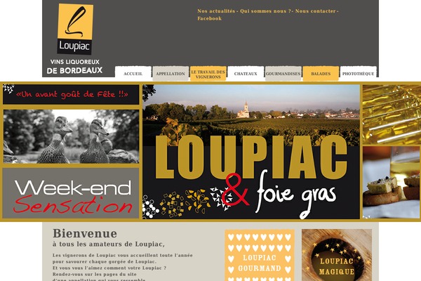 vins-loupiac.com site used Toolbox