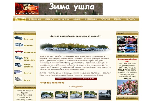 vipavto-vrn.ru site used Limuzin2