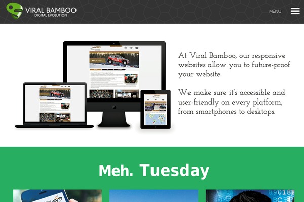 Vb theme site design template sample