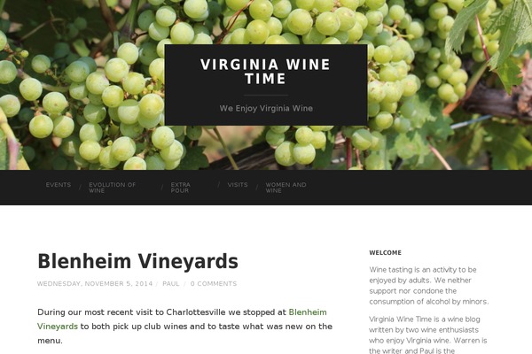 WordPress website example screenshot