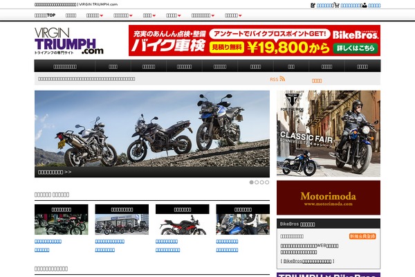 WordPress website example screenshot