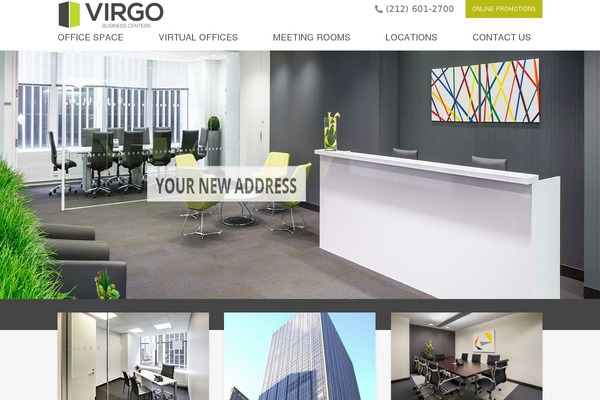Virgo theme site design template sample