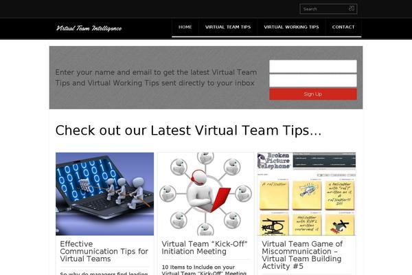 virtualteamintelligence.com site used Vtinew2