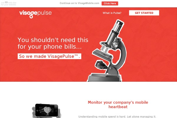 visagepulse.com site used Visage