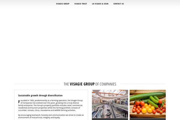 visagiegroup.com site used Envision