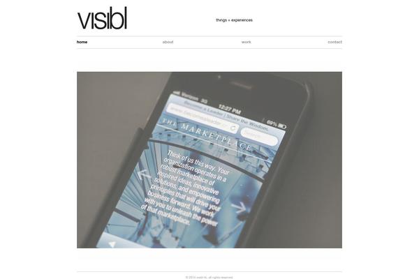 VISIBL theme websites examples