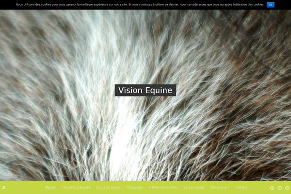 vision-equine.com site used VisualBlogger