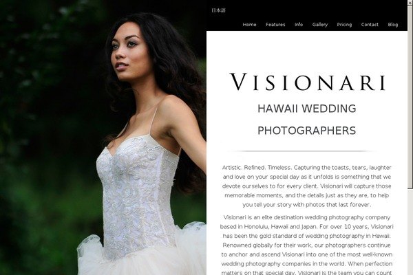 ichiban-child WordPress theme, websites list used ichiban-child theme ichiban-child theme websites examples