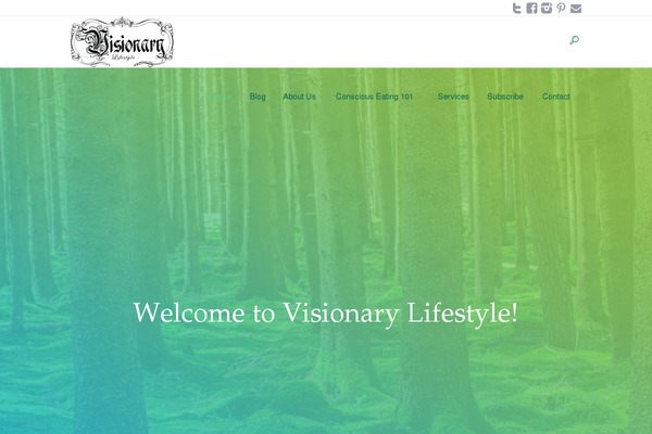 visionary-lifestyle.com site used Visionarylifestyle