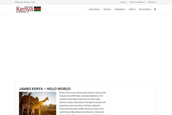 WordPress website example screenshot