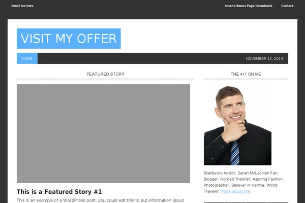 WordPress website example screenshot