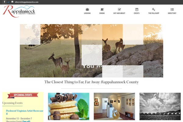 Lecia-child theme websites examples