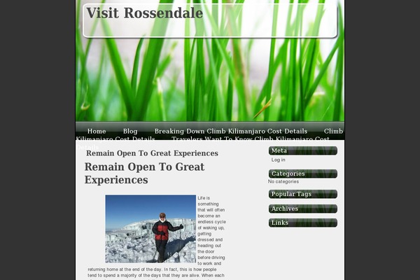 Vista-Like theme site design template sample