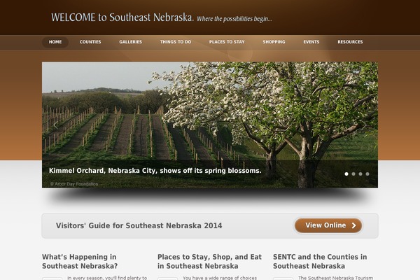 WordPress website example screenshot