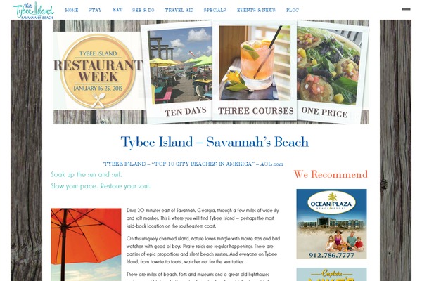 visittybee theme websites examples