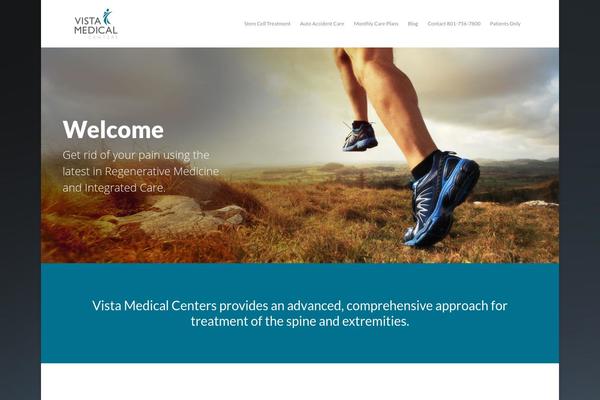 Salient theme site design template sample