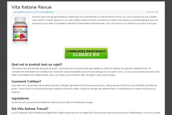 Mantra theme site design template sample