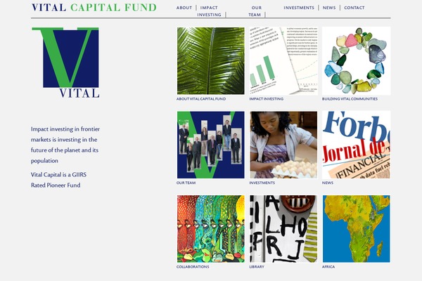 vital-capital.com site used Roots-mipo