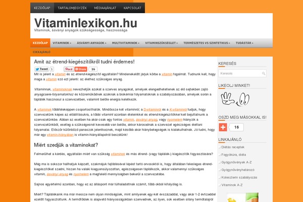 WordPress website example screenshot