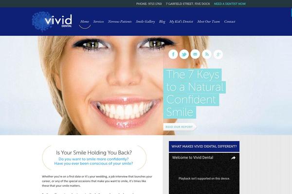 Vivid theme site design template sample