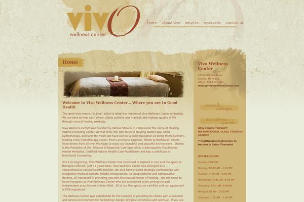 Vivo theme site design template sample
