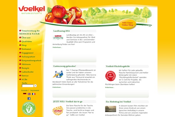 WordPress website example screenshot