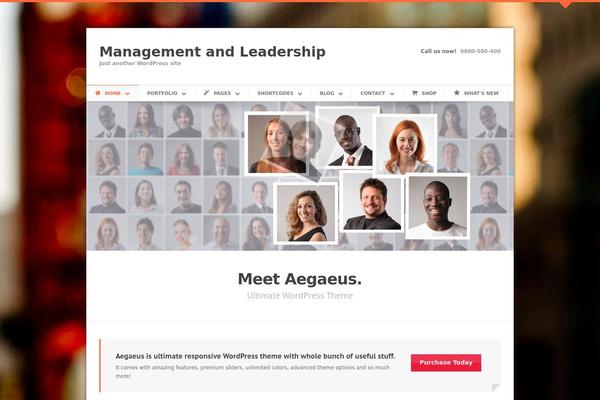 Aegaeus theme site design template sample