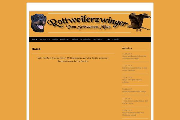 WordPress website example screenshot