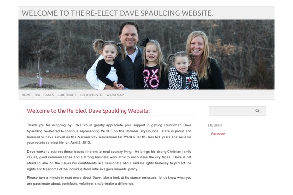 votedavespaulding.com site used picolight