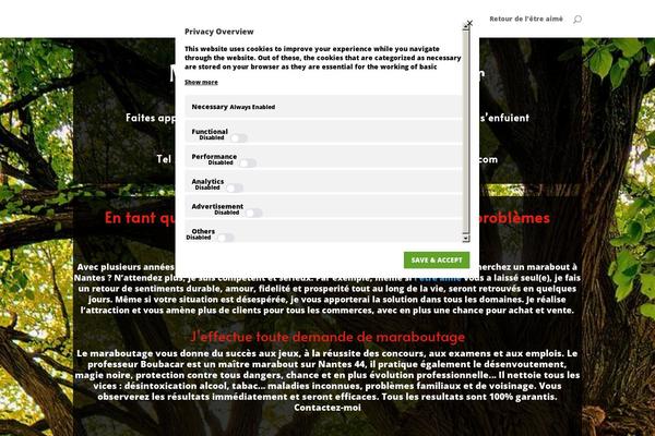 WordPress website example screenshot