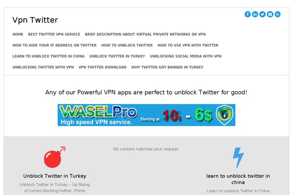 vpntwitter.com site used Simple Business WP