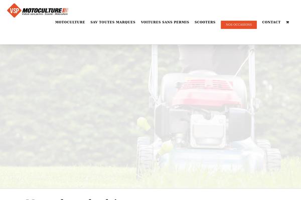 Avada theme site design template sample