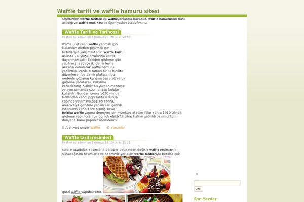 WordPress website example screenshot