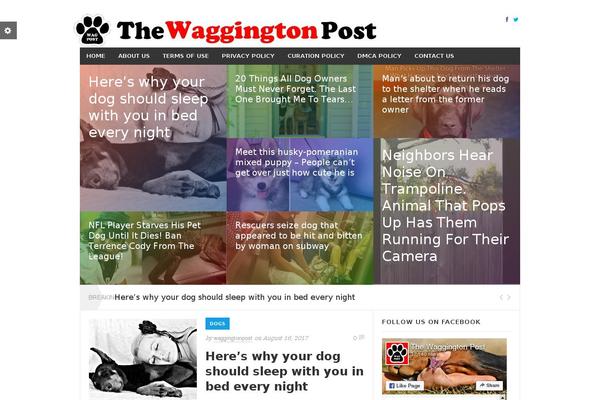 waggingtonpost.com site used Rexus-child-theme