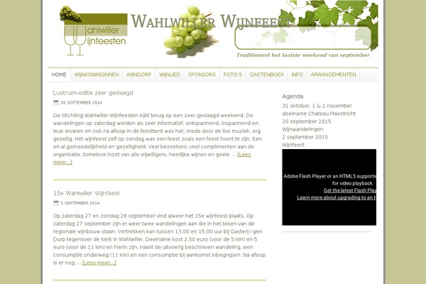 Divi theme site design template sample