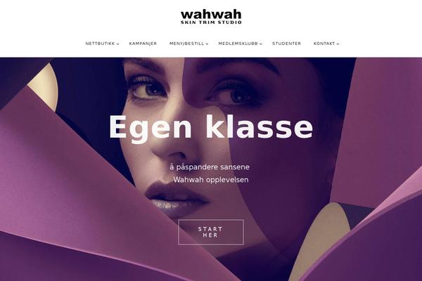 theme52946 theme websites examples