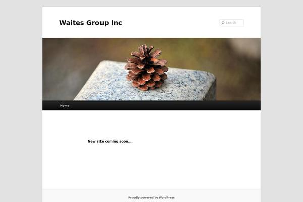 Twenty Eleven theme site design template sample