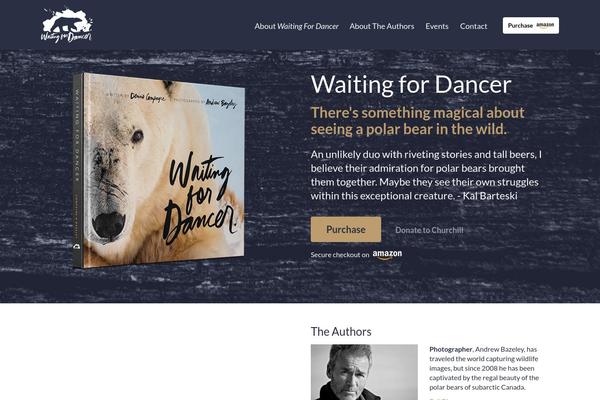 Site using Advanced Responsive Video Embedder plugin