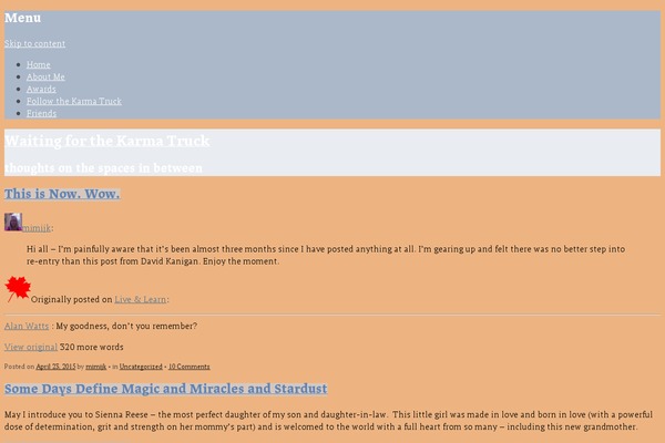 WordPress website example screenshot